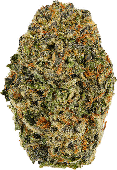 Blue Afghani